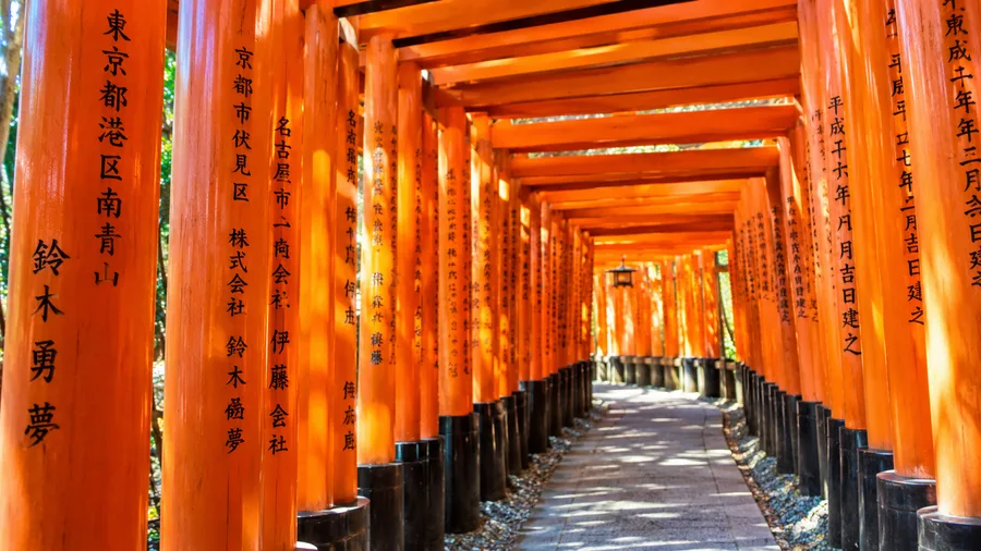 The Thousand Torii Gates of Fushimi Inari Taisha