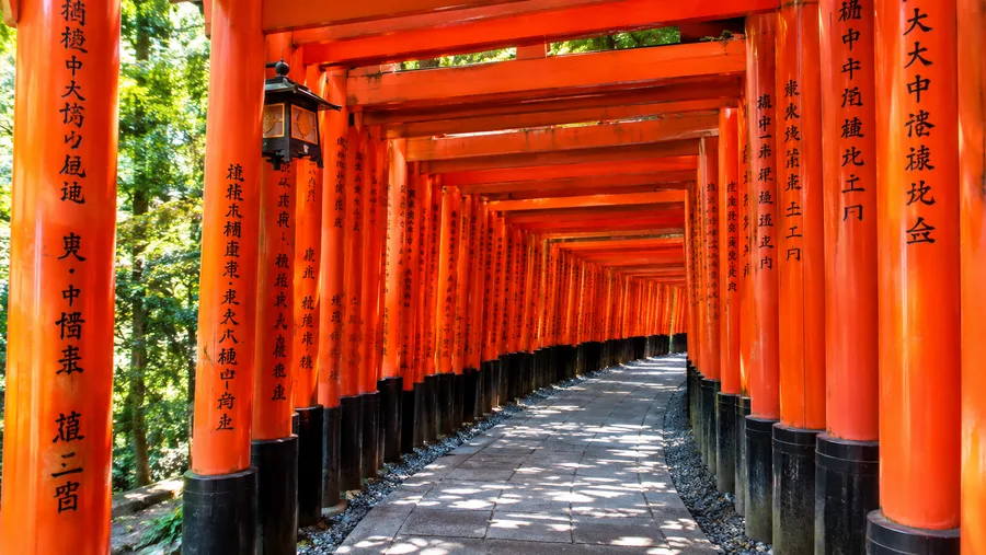 The Thousand Torii Gates of Fushimi Inari Taisha